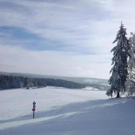 Lejlighed For 10 In *