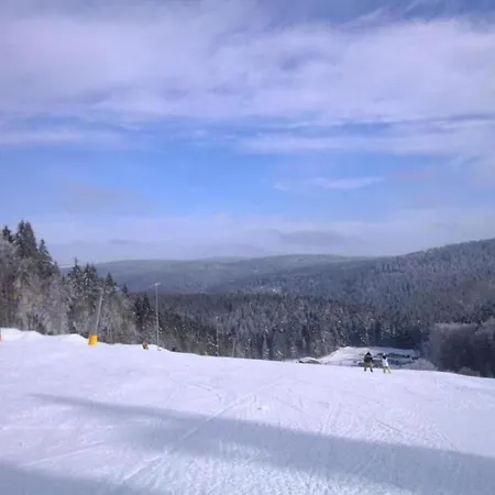 For 10 In Lejlighed Veysonnaz