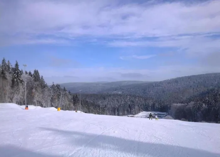 For 10 In Apartmán Veysonnaz