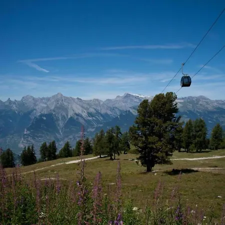 Appartement For 10 In Veysonnaz